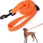 Bungee Dog Leash